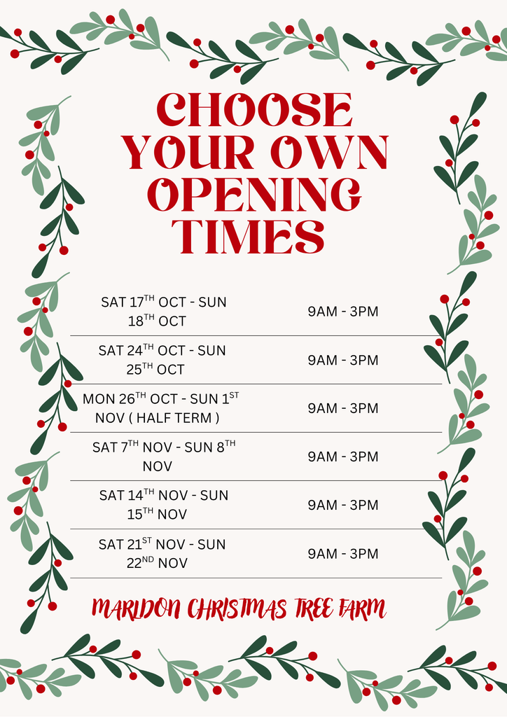 What's On - Marldon Christmas Trees What's On